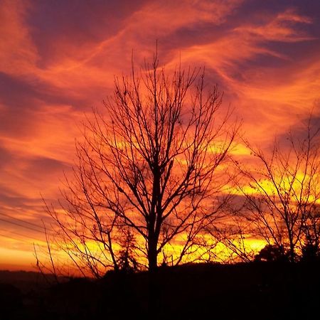 Ca Dei Giari Apartment Valdobbiadene Bagian luar foto