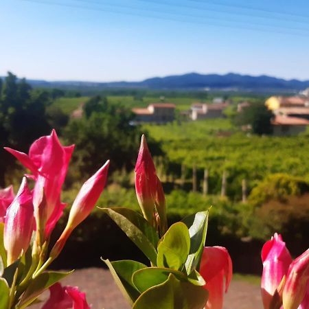 Ca Dei Giari Apartment Valdobbiadene Bagian luar foto