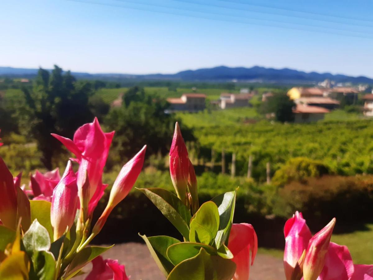 Ca Dei Giari Apartment Valdobbiadene Bagian luar foto