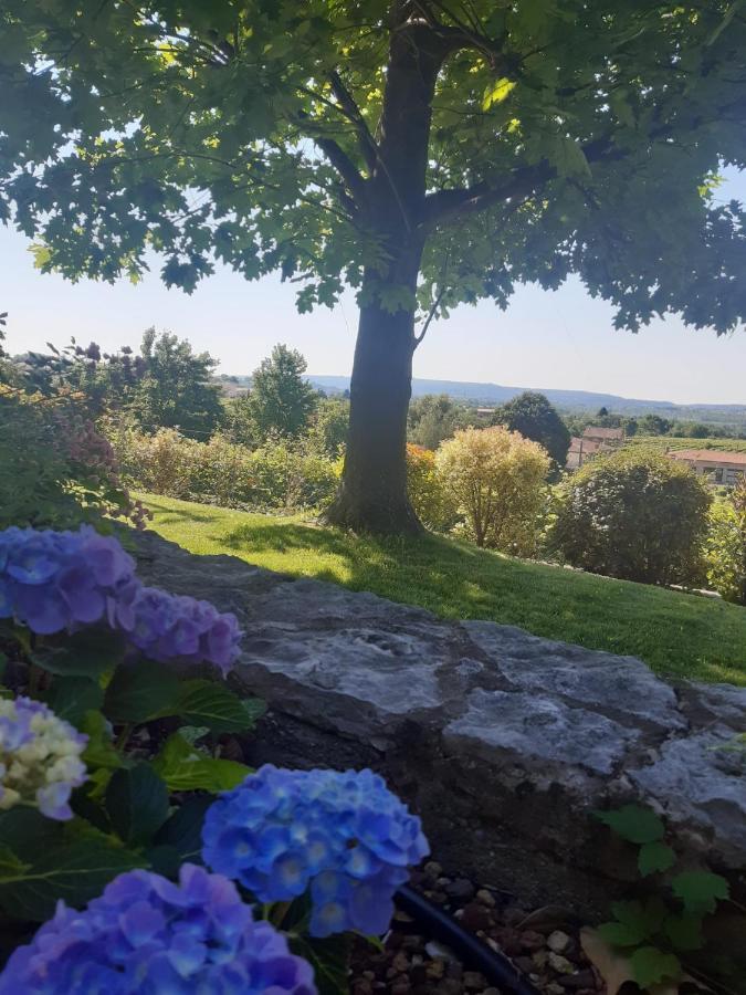 Ca Dei Giari Apartment Valdobbiadene Bagian luar foto